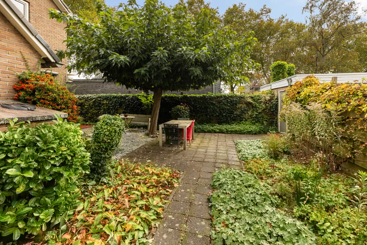 Foto 36 van Goeman Borgesiuslaan 1