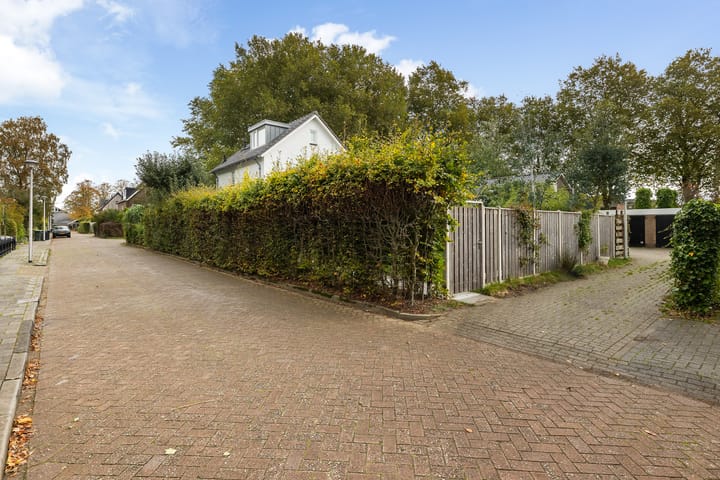 Foto 39 van Goeman Borgesiuslaan 1