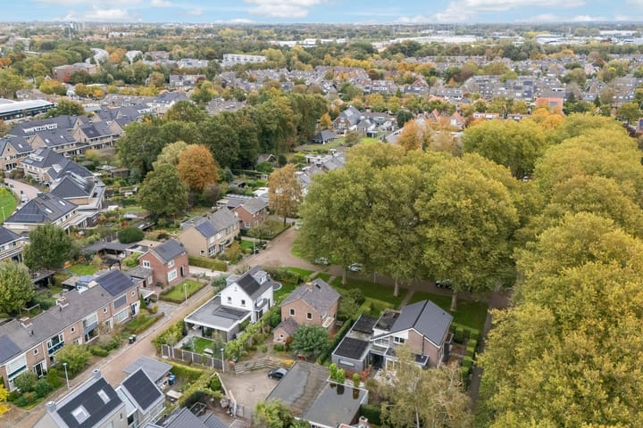 Foto 41 van Goeman Borgesiuslaan 1