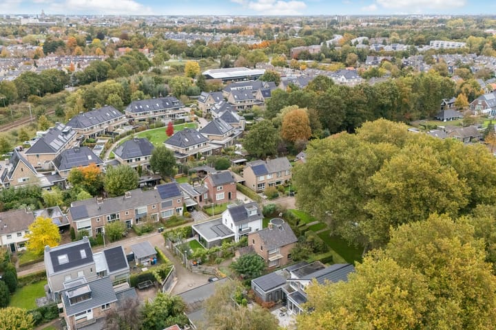 Foto 42 van Goeman Borgesiuslaan 1