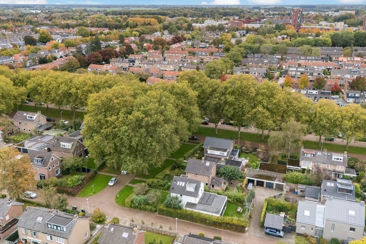 Foto 43 van Goeman Borgesiuslaan 1