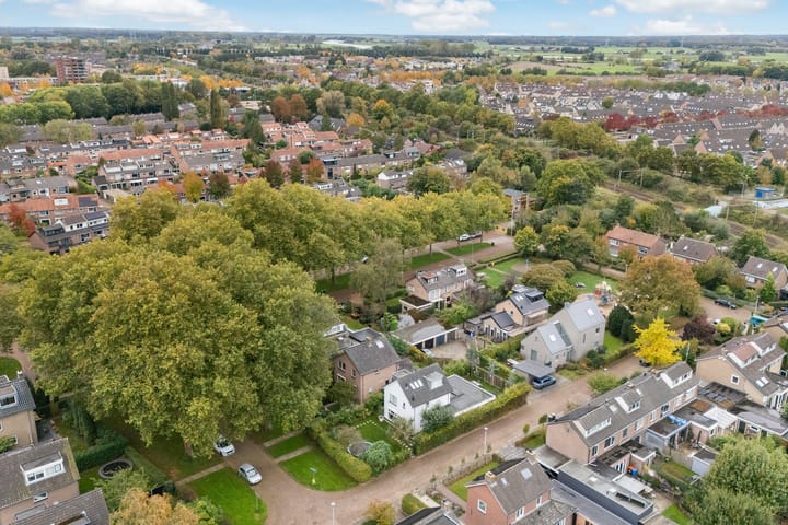 Foto 44 van Goeman Borgesiuslaan 1