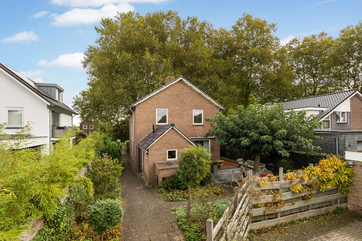 Foto 40 van Goeman Borgesiuslaan 1