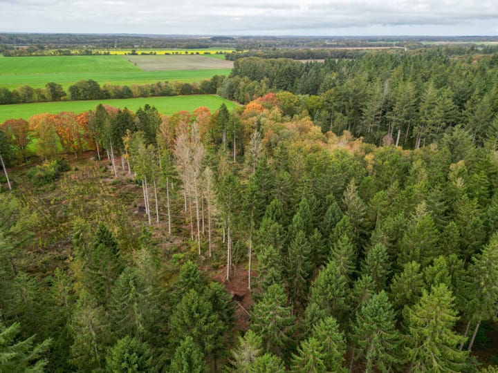 Foto 35 van Entinge 32