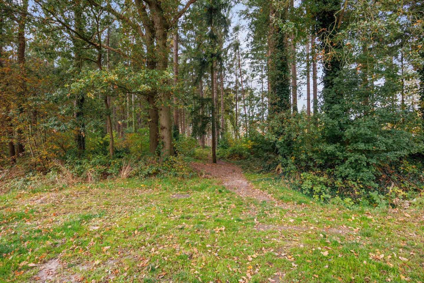 Foto 34 van Entinge 32