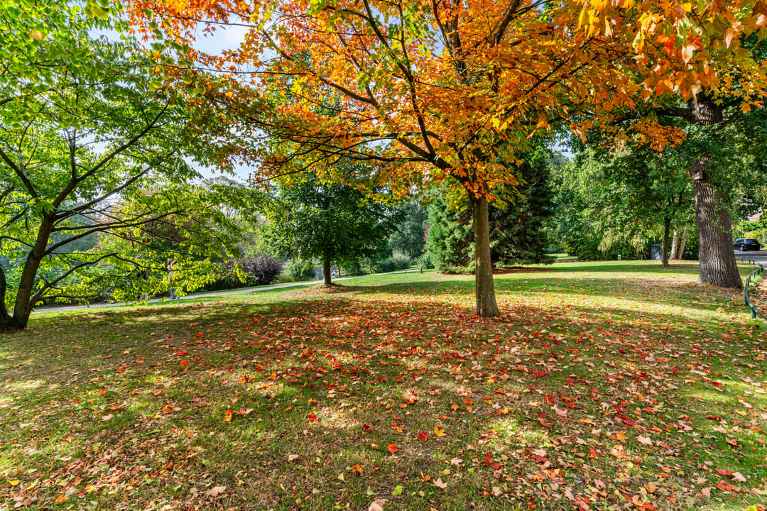 Photo 37 of Plantsoen 83