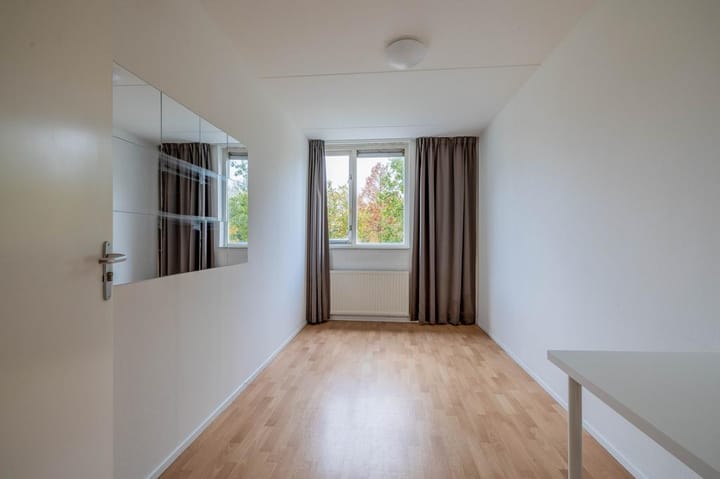 Photo 27 of Bovensim 28