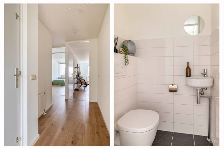 Foto 11 van De Rungraaf 42