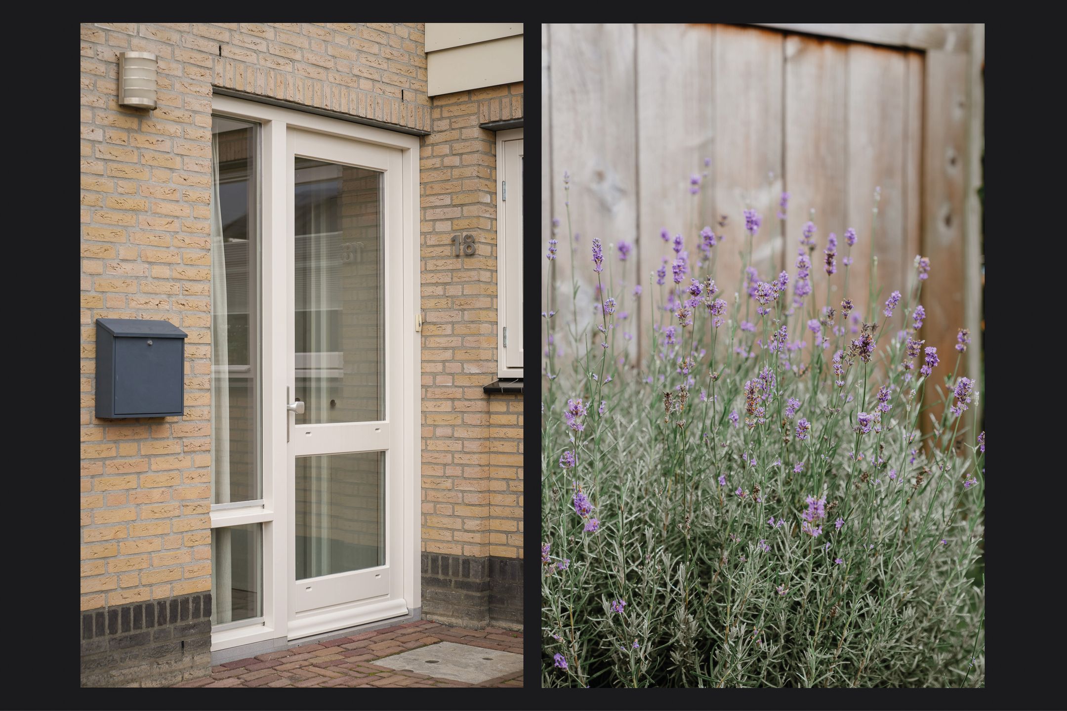 Foto 45 van Donjon 18