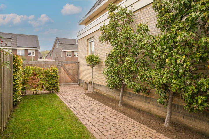 Foto 40 van Donjon 18