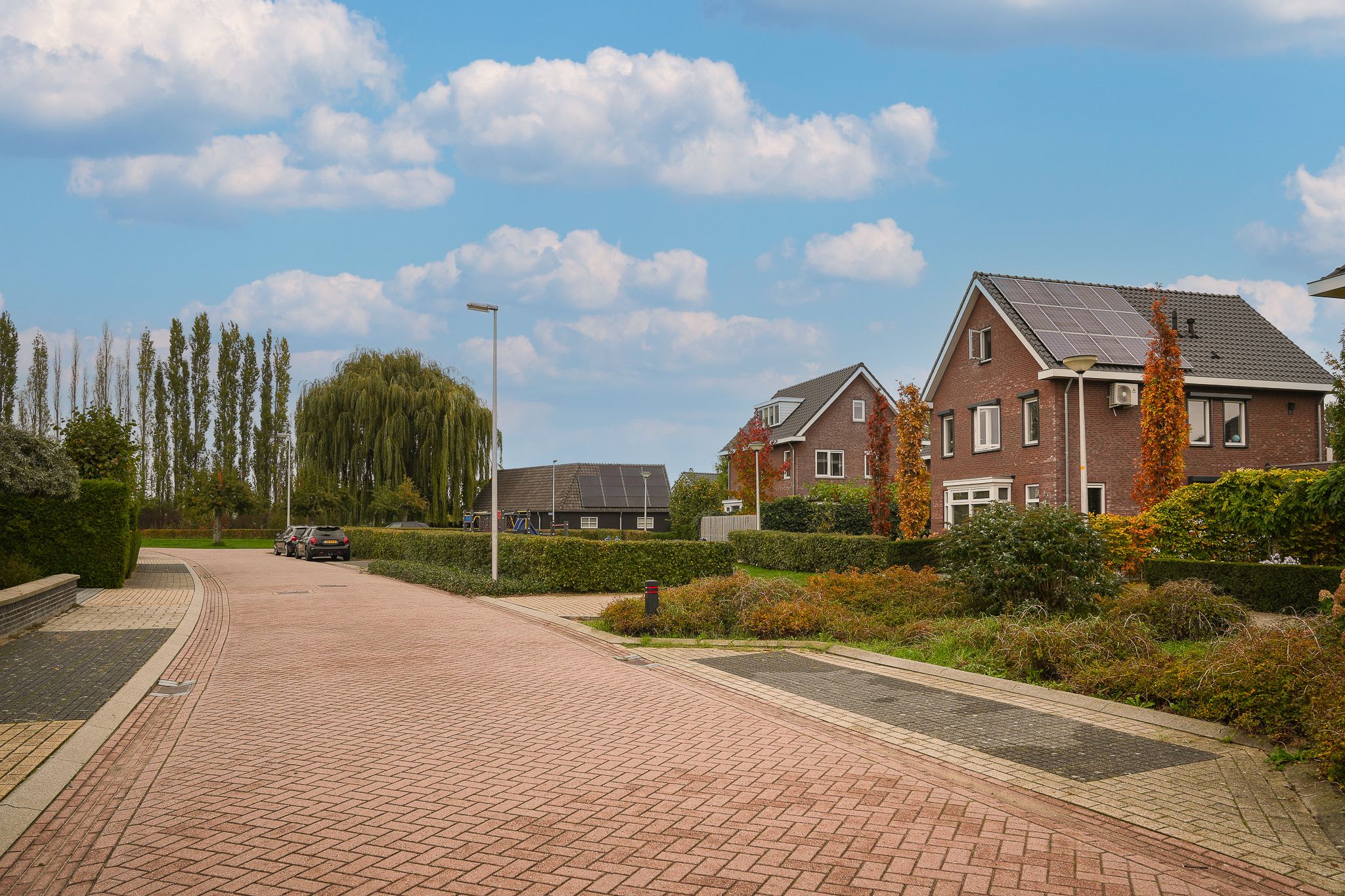 Foto 48 van Donjon 18