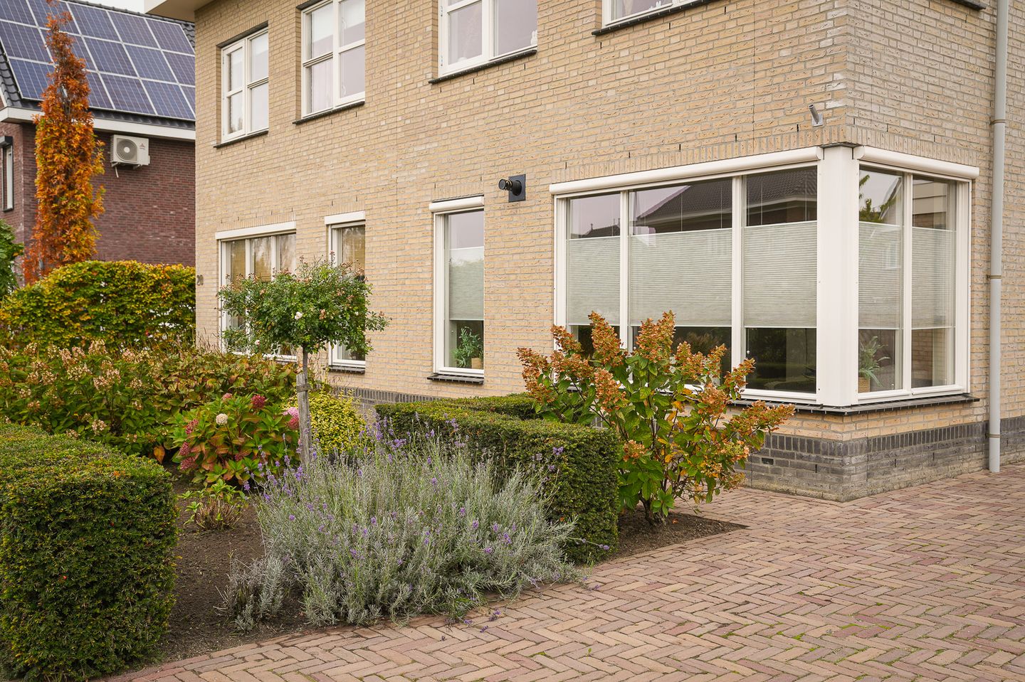 Foto 44 van Donjon 18