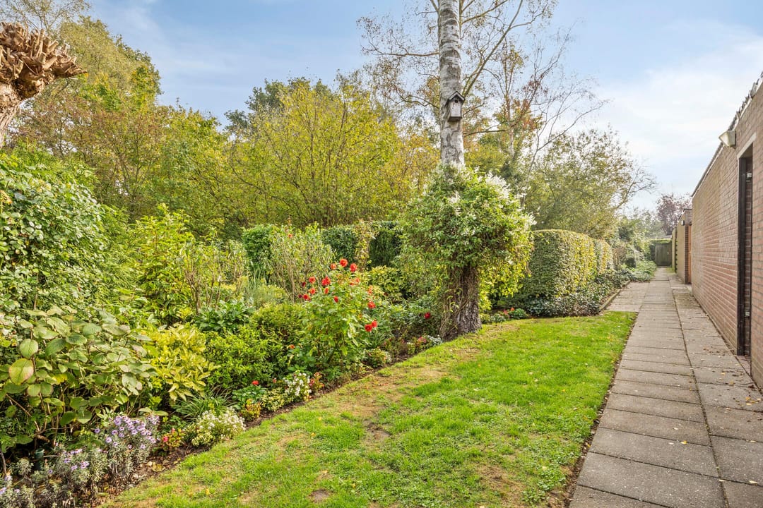 Foto 31 van Orionlaan 5