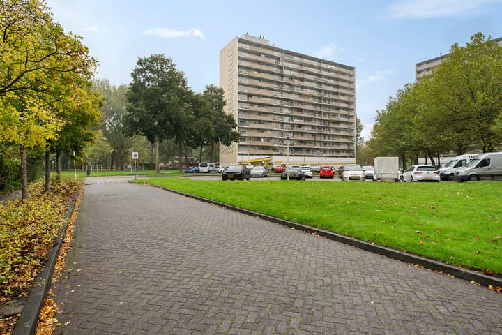 Foto 4 van Tjaarda 400