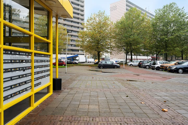 Foto 6 van Tjaarda 400