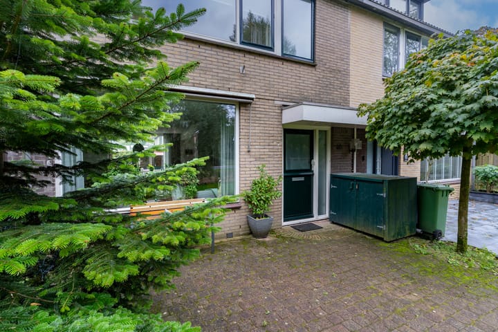 Foto 2 van Amarilpad 10