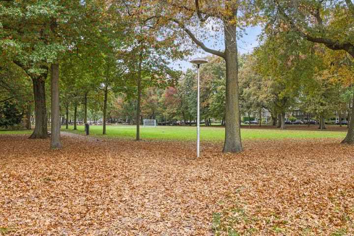 Foto 37 van Jaffastraat 19