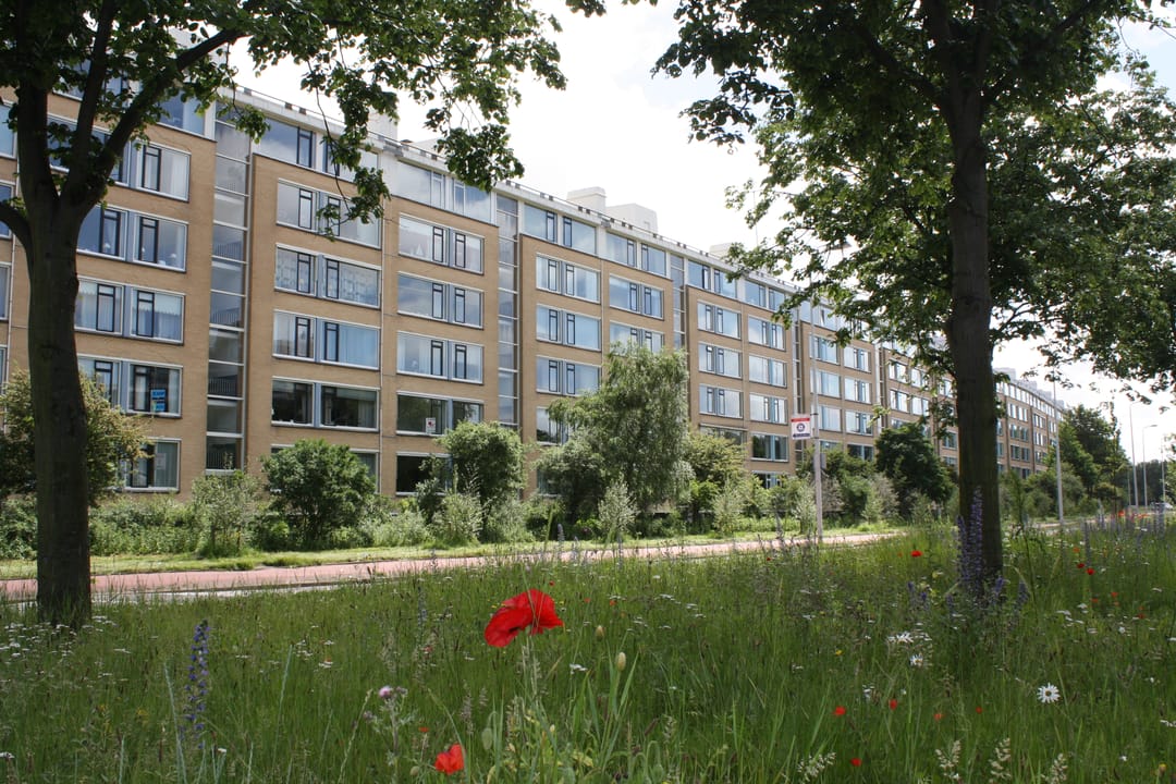 Foto 38 van Landréstraat 225