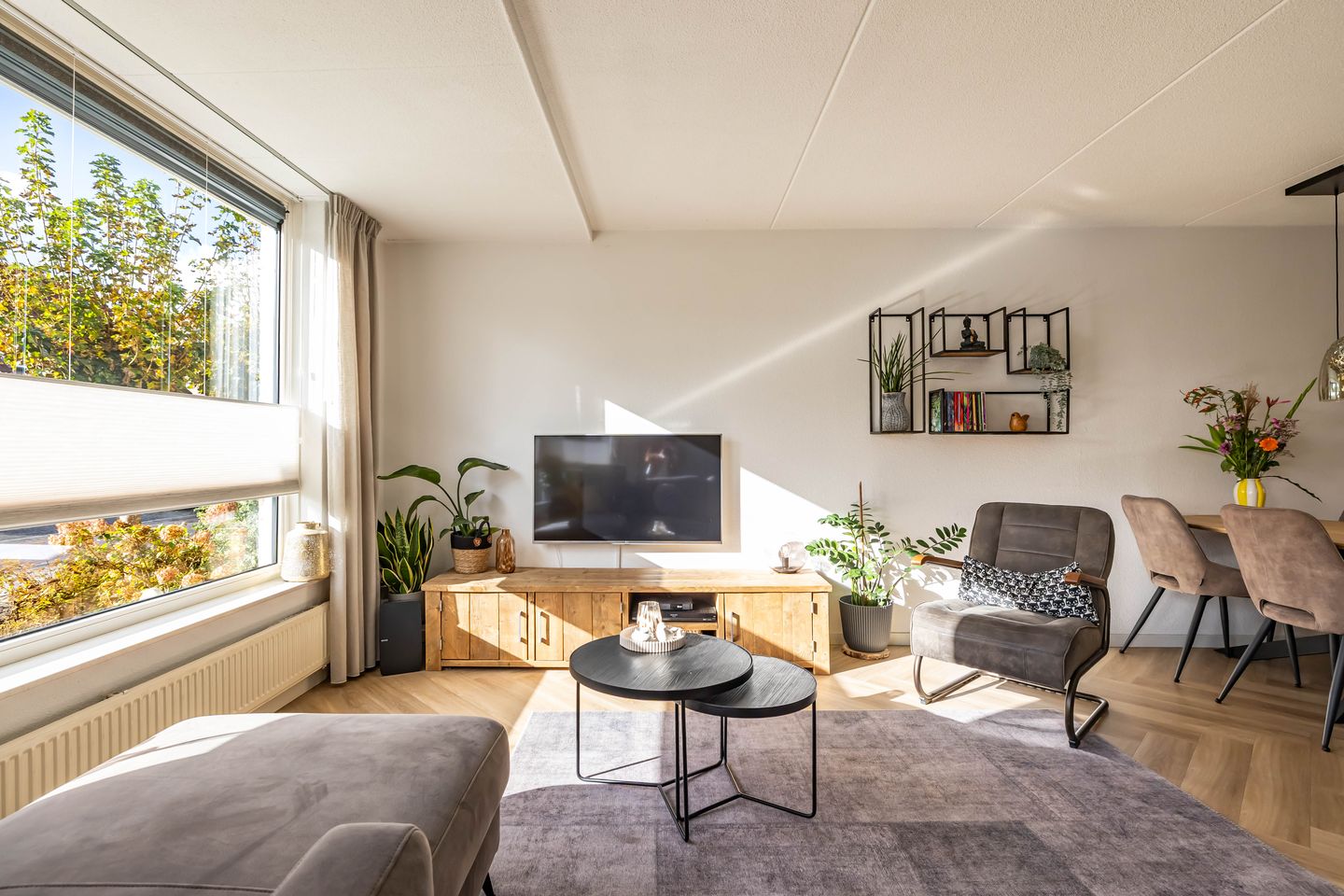 Photo 14 of Klipper 24