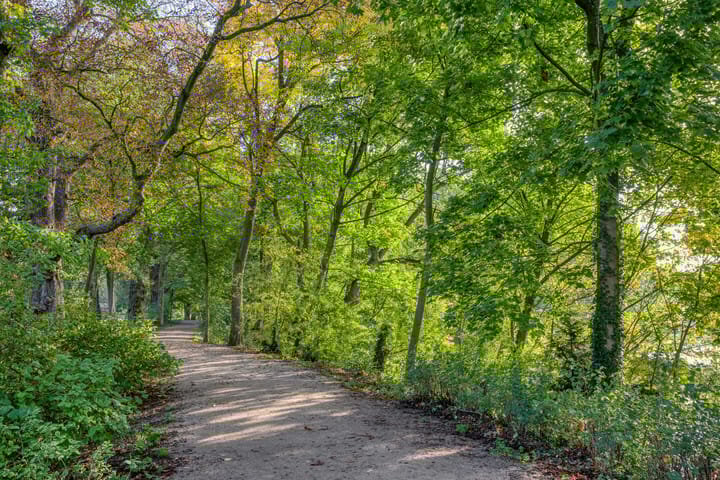 Foto 42 van Regulierstraat 2