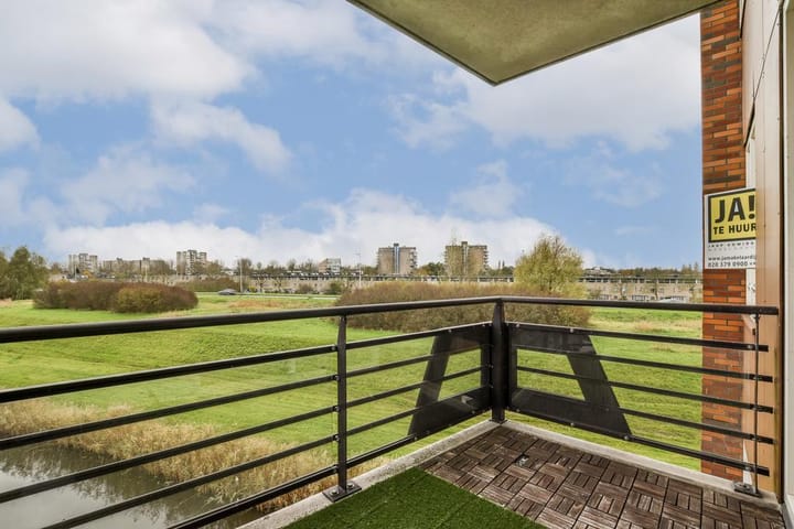 Photo 3 of Ringslang 107