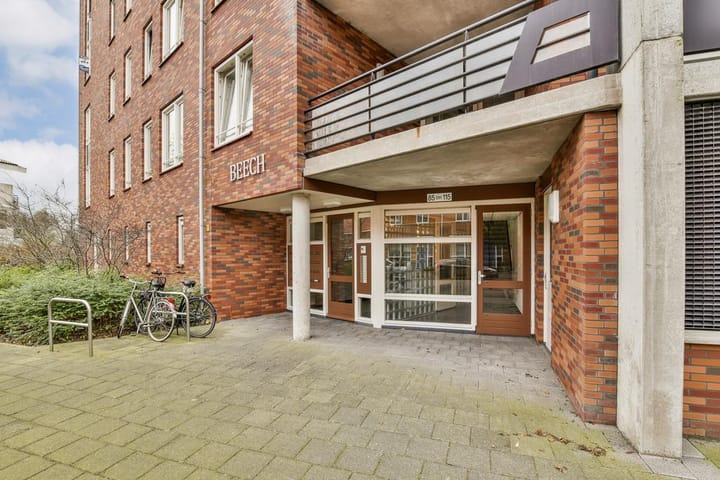 Photo 4 of Ringslang 107