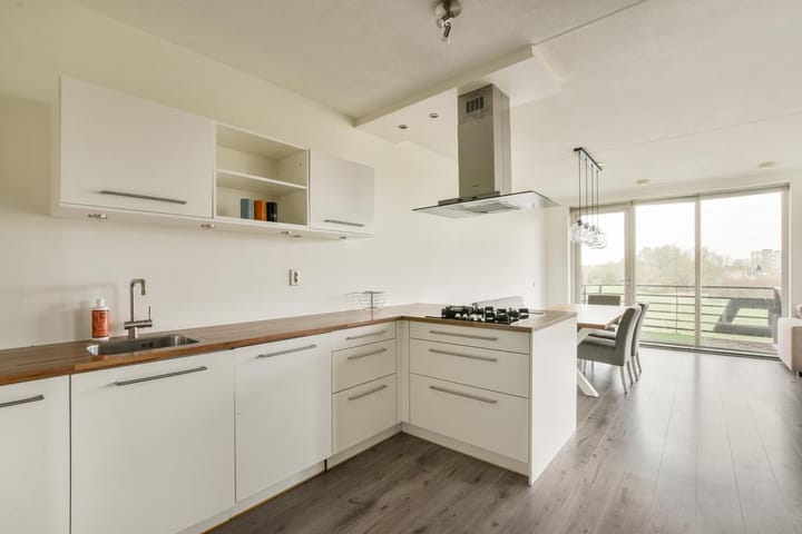 Foto 8 van Ringslang 107