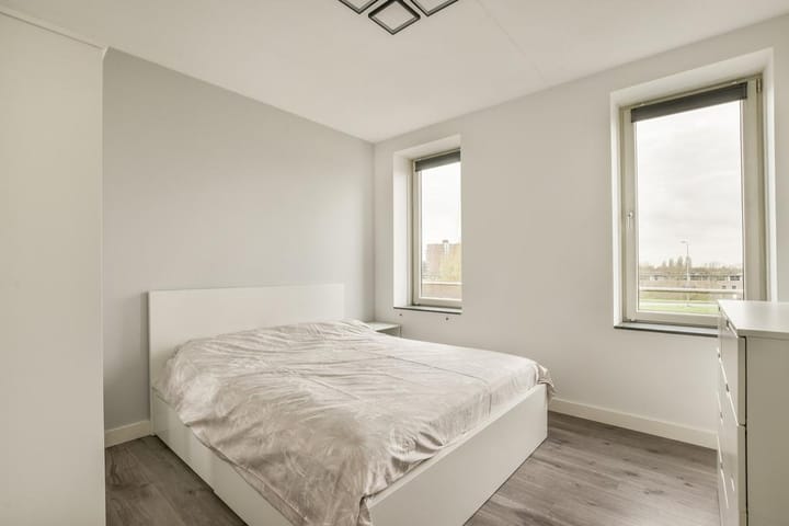 Foto 12 van Ringslang 107