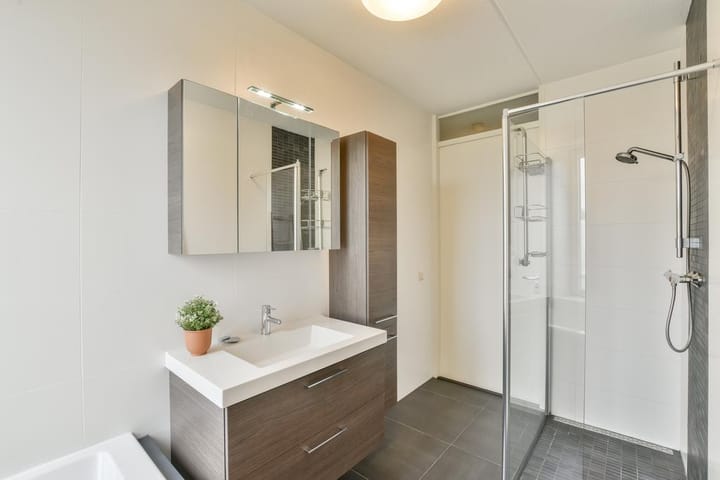 Foto 15 van Ringslang 107