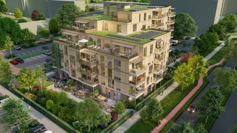 Blooming secondary image