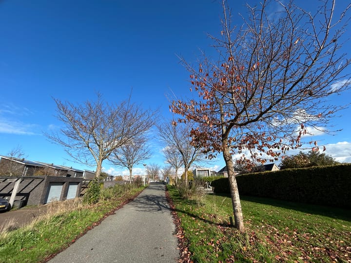 Foto 25 van Duiker 16