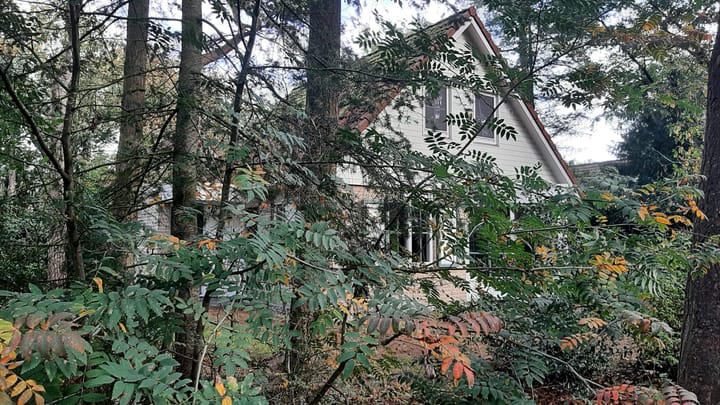 Foto 4 van Korhoen 35