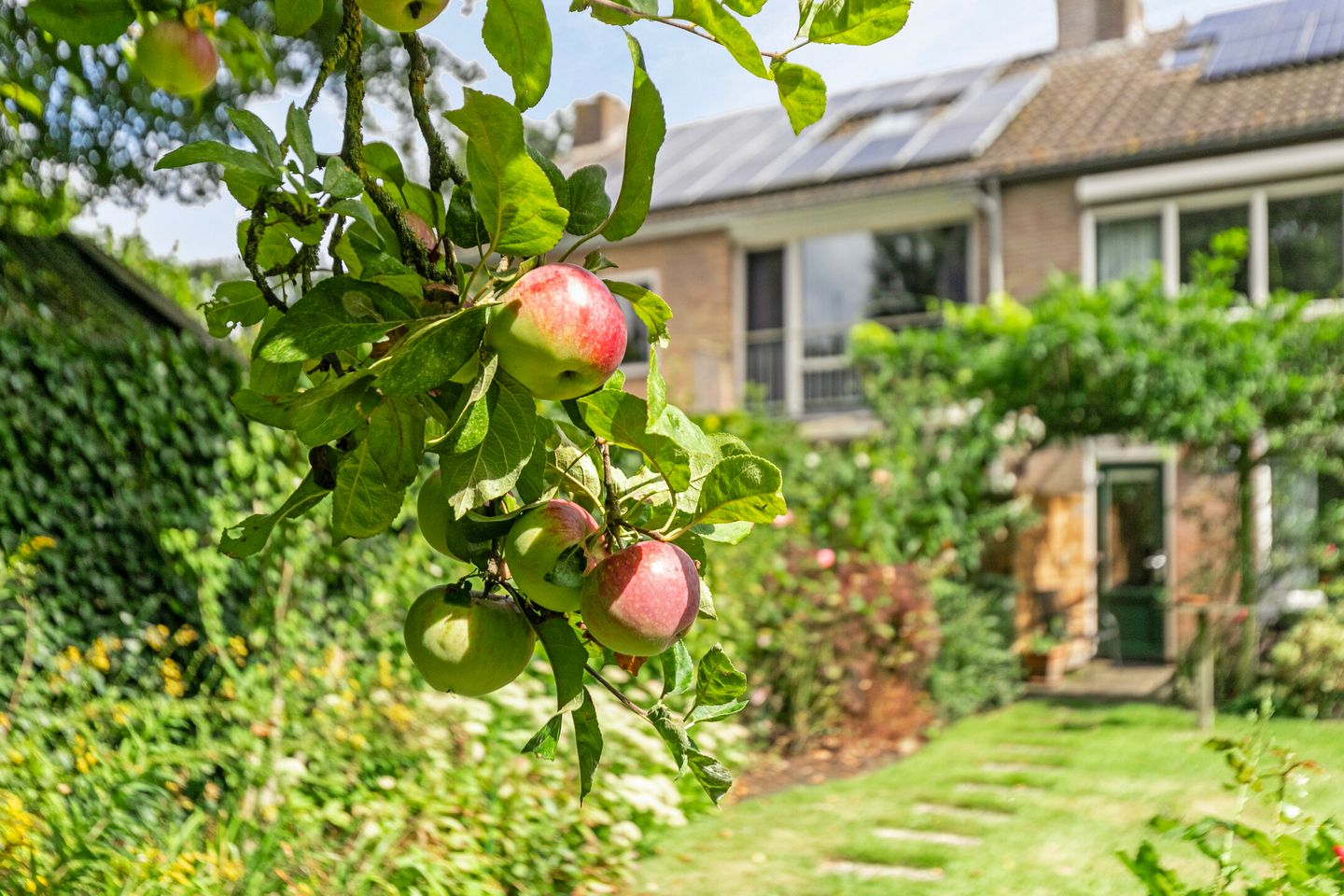 Foto 49 van Slauerhofflaan 80