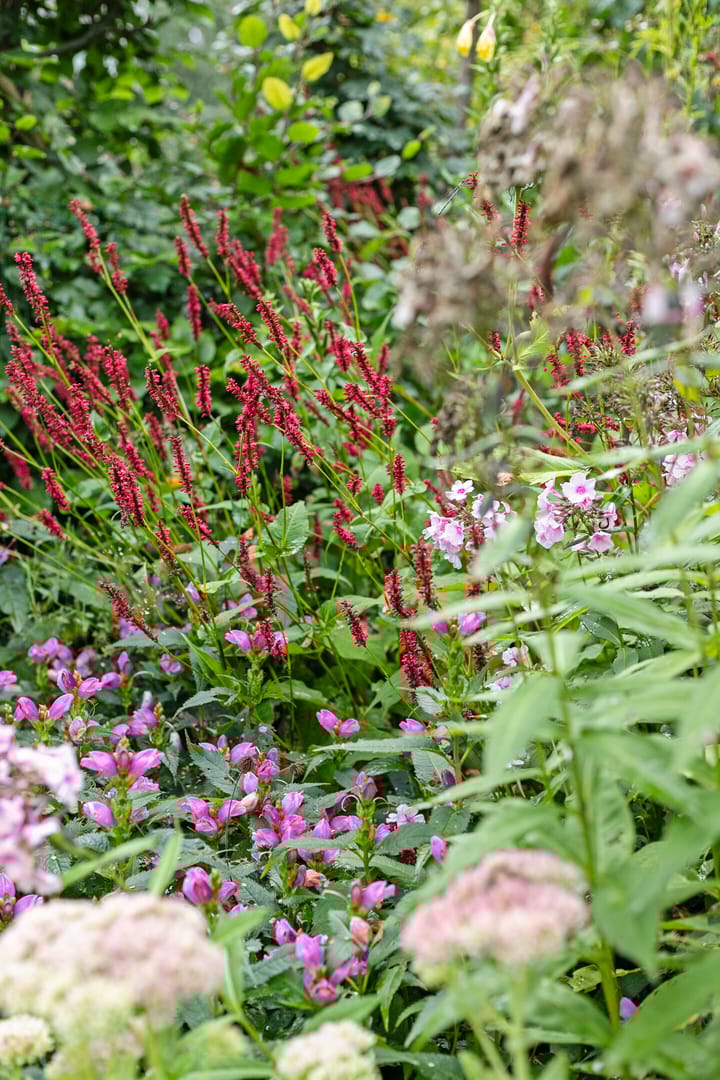 Foto 51 van Slauerhofflaan 80