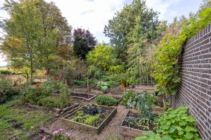 Foto 31 van Rodenrijseweg 527-C