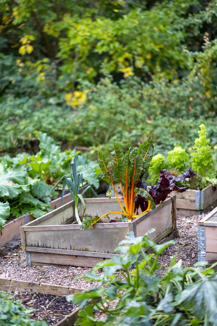 Foto 32 van Rodenrijseweg 527-C