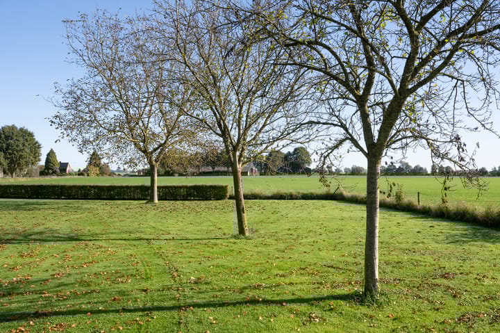 Photo 41 of Buurtweg 46