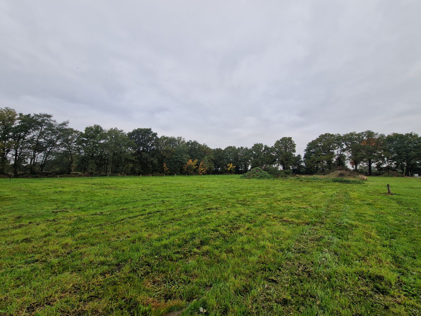 Foto 10 van Voortweg 37