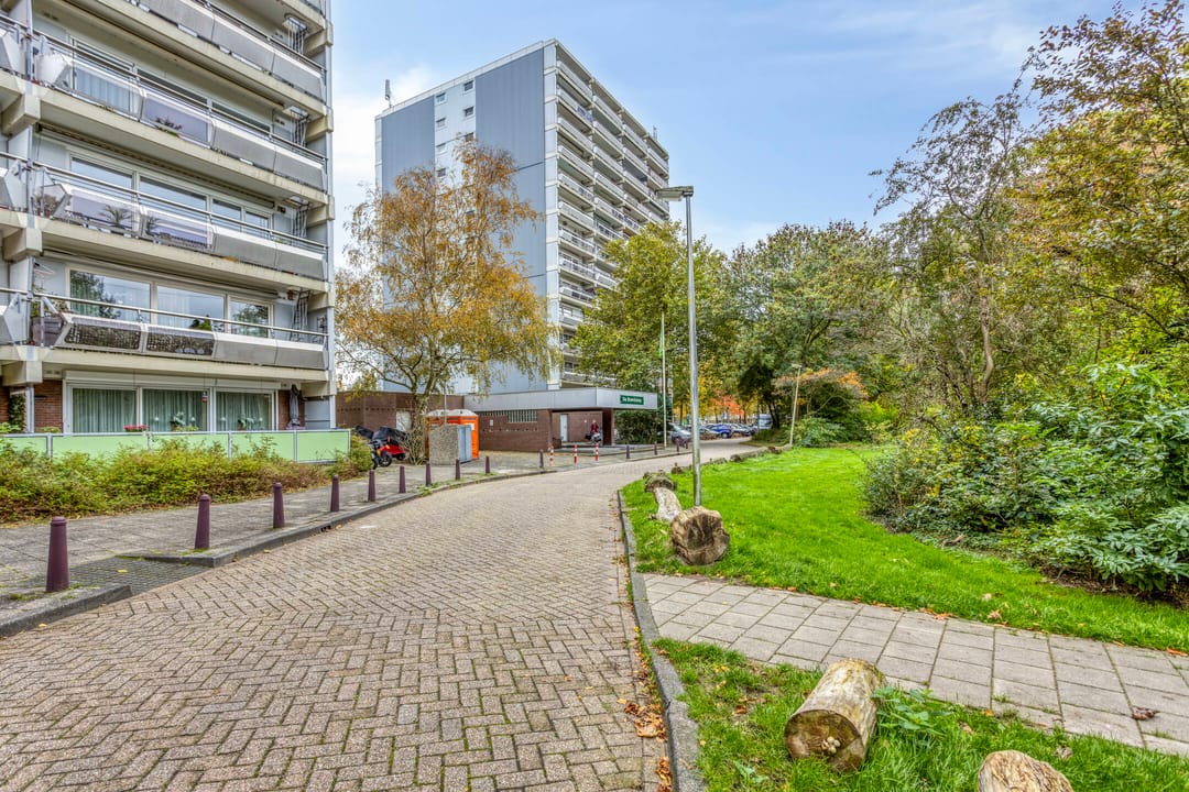 Photo 11 of De Roerdomp 13