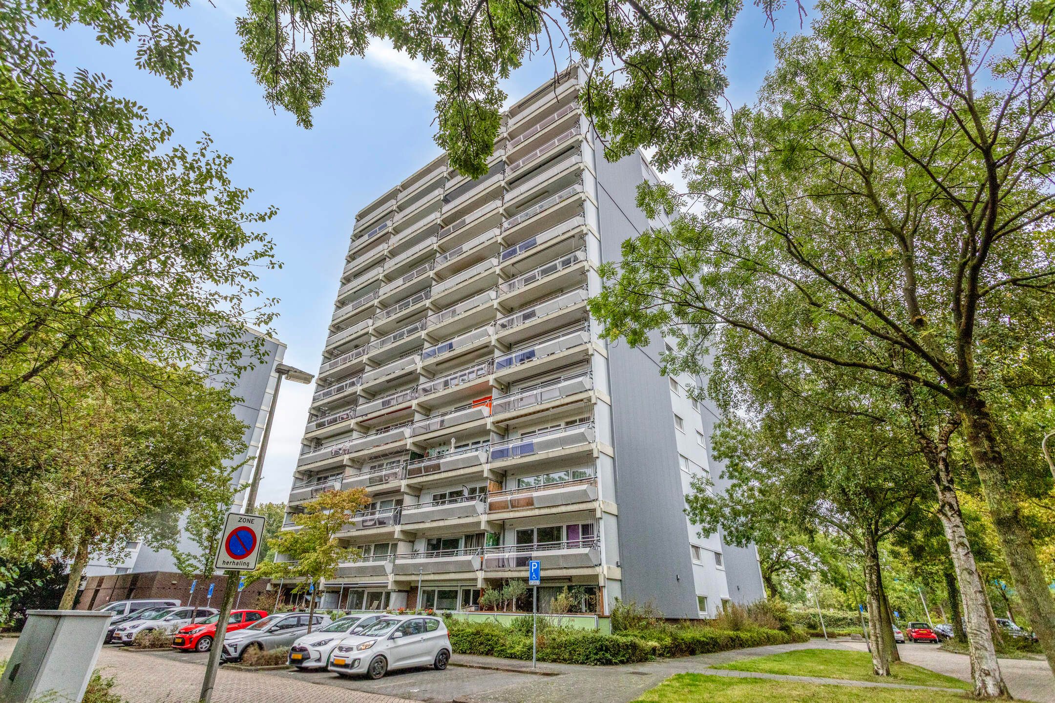 Photo 9 of De Roerdomp 13