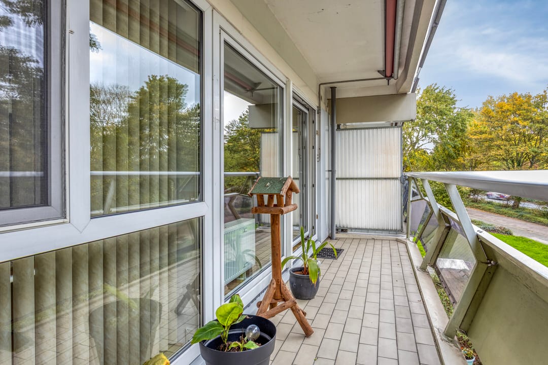 Photo 26 of De Roerdomp 13