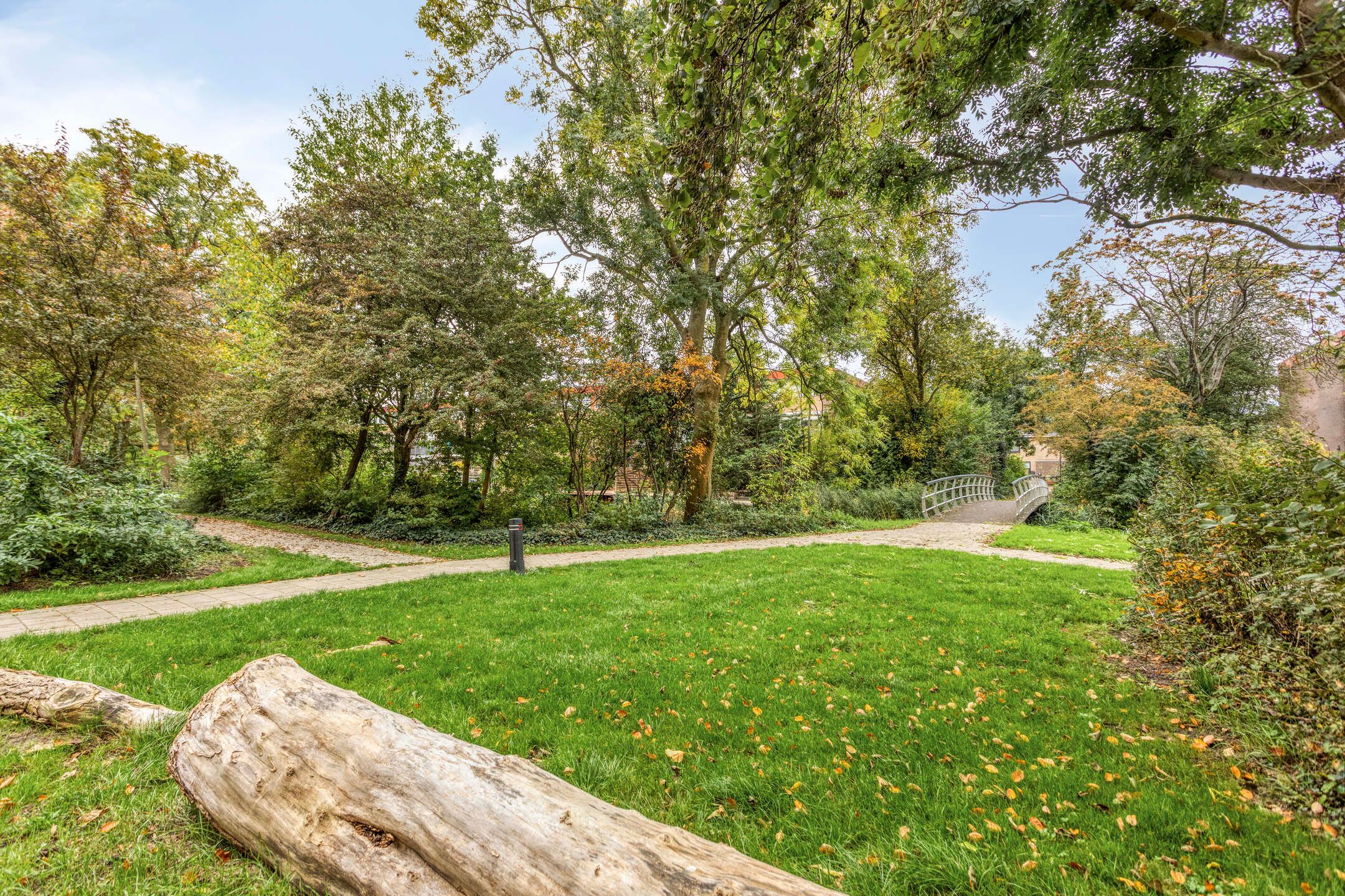 Photo 33 of De Roerdomp 13