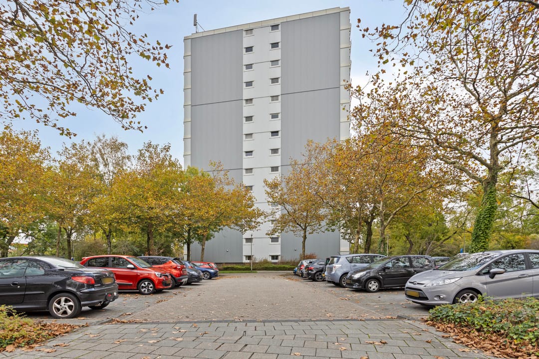 Photo 8 of De Roerdomp 13