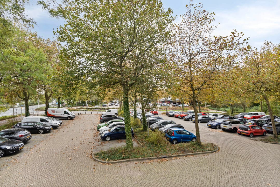 Photo 32 of De Roerdomp 13