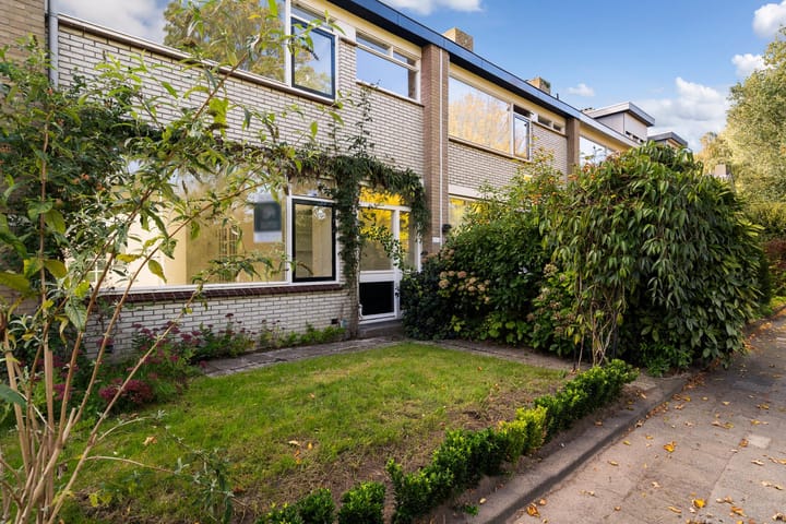 Foto 4 van Van Polanenpark 268