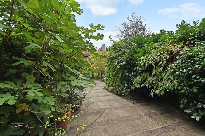 Photo 18 of Saloméschouw 113