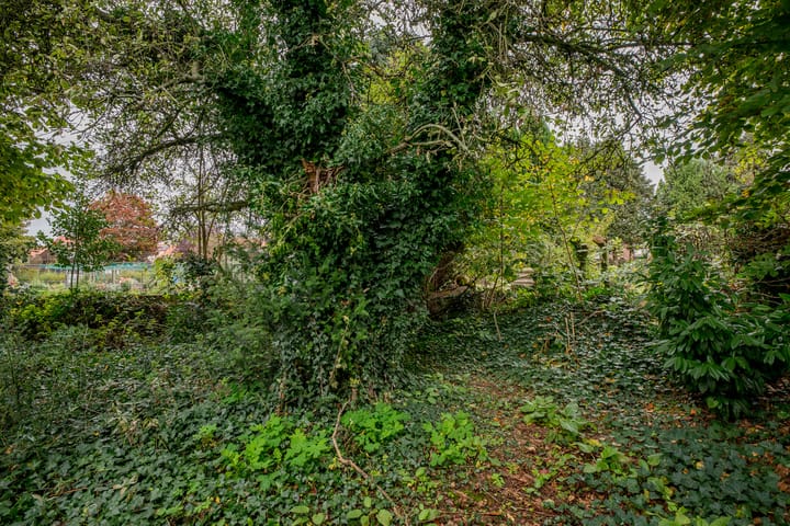 Foto 33 van Kruisstraat 38