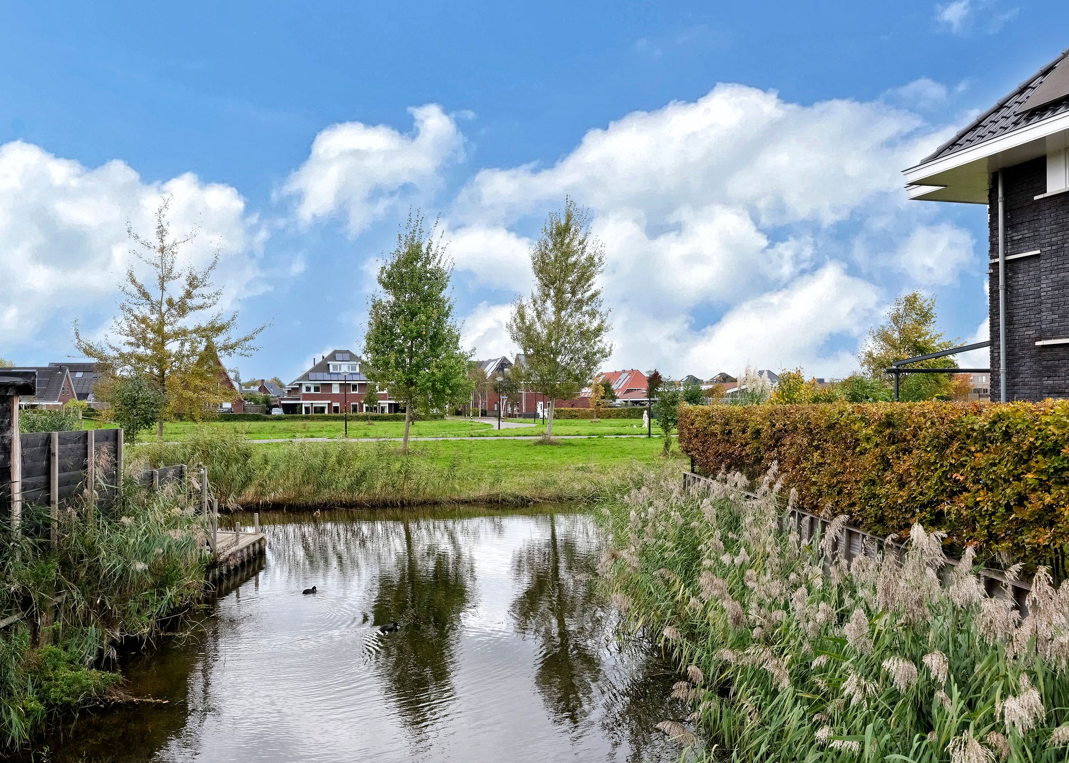 Foto 33 van Duizendbladweg 36