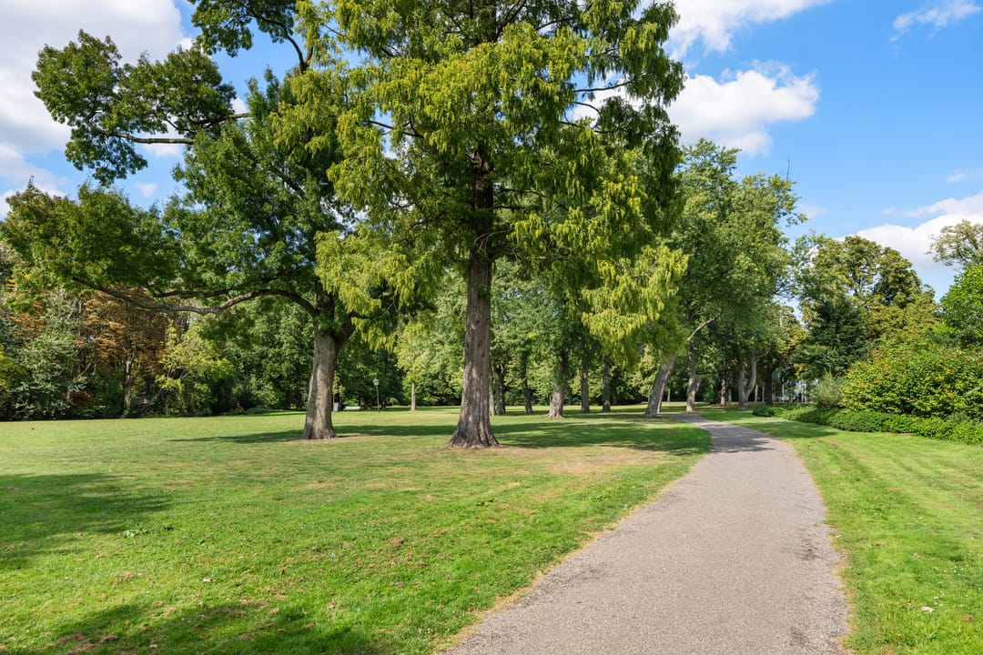 Foto 31 van Nazarethstraat 11-C