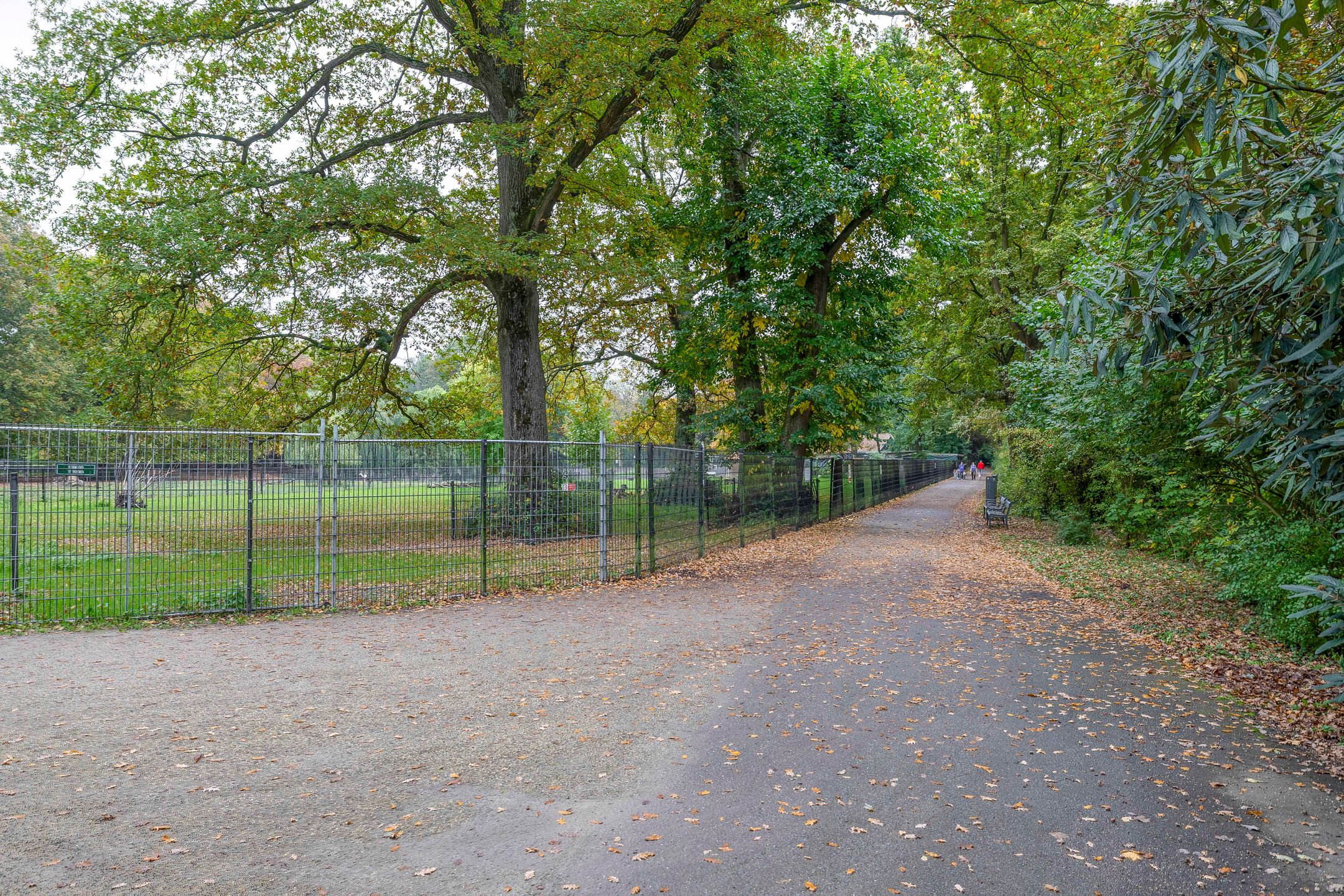 Photo 48 of Arnoldus Rotterdamstraat 15